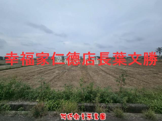 安定國八新吉段302農地