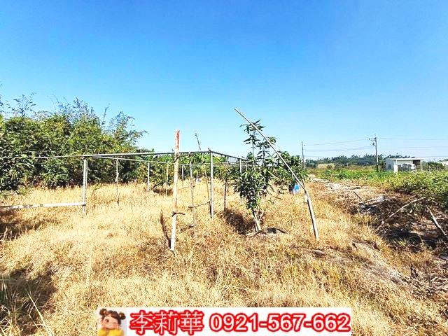 台南關廟農地-9