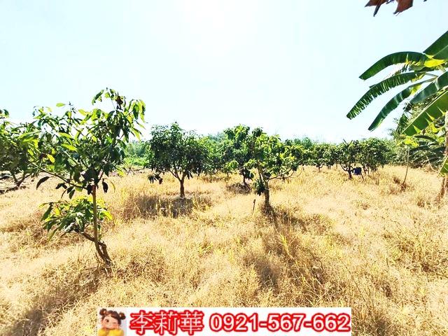 台南關廟農地-10