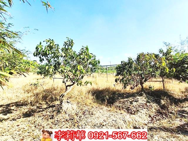 台南關廟農地-12