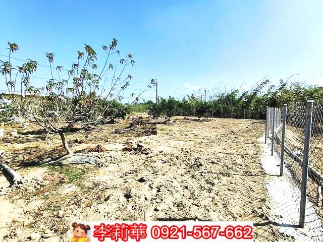 台南關廟農地-7