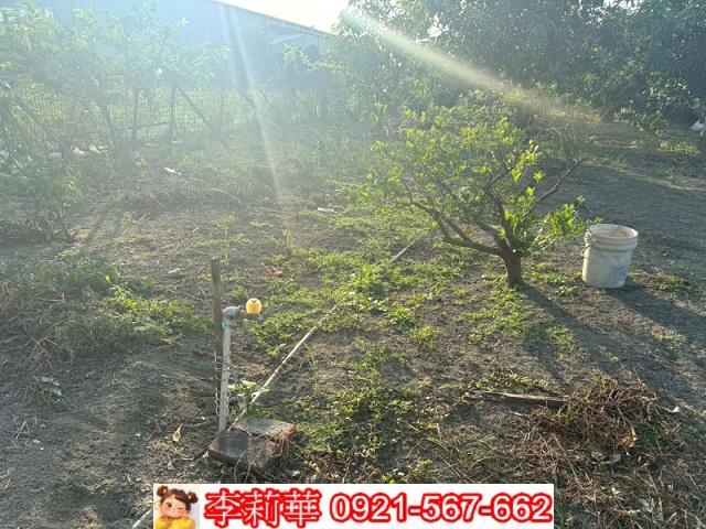 台南安定農地-11