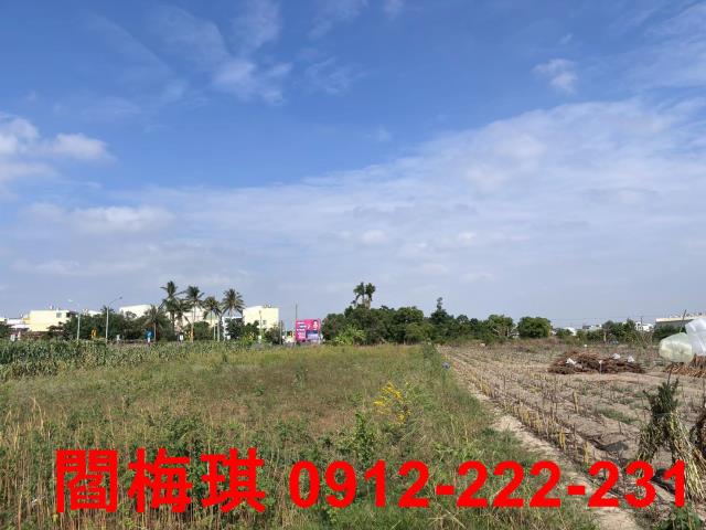 西港農地-1