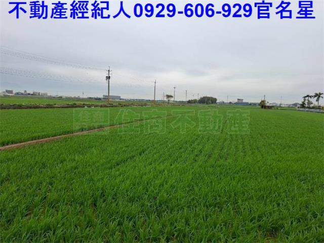 嘉義農地-1