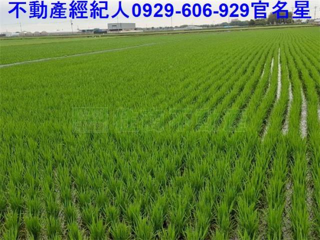 嘉義農地-5
