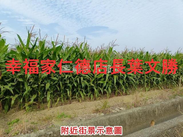 台南西港農地-10