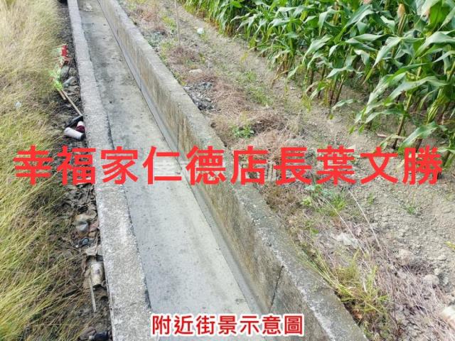 台南西港農地-8