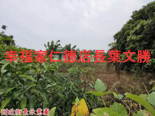 台南新市農地-10