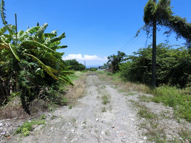 屏東東港工業地-1