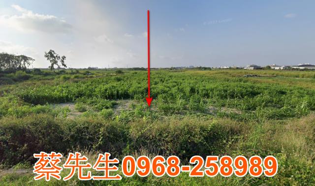 佳里港墘農舍地興建農舍種植農作物