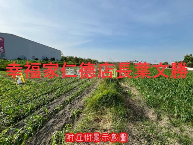 安南本原10米路都內農地A