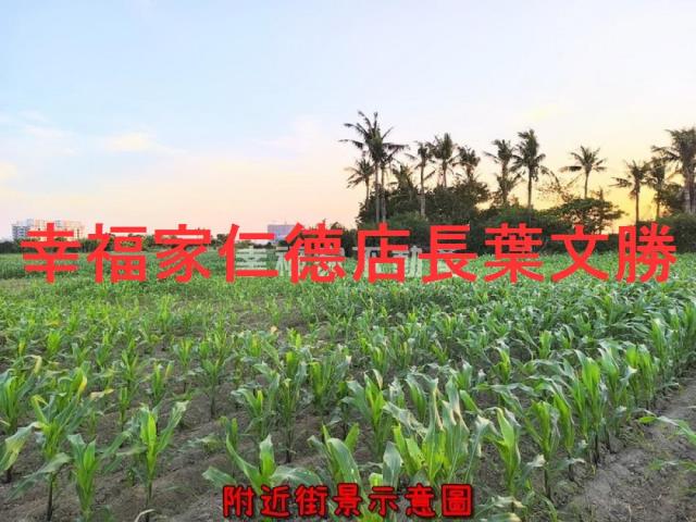 近亞太棒球場農地2