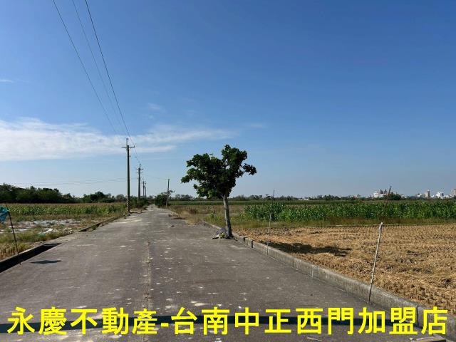 東山頂窩金城武樹旁3分7優質農地