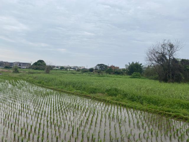 桃園農地-2