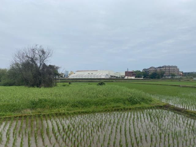 桃園農地-3