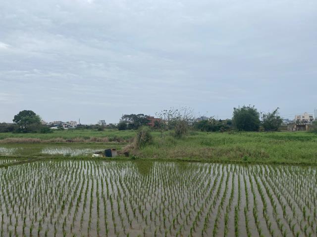 桃園農地-8