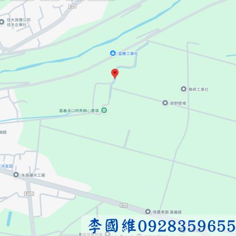 嘉義溪口法拍建地-3