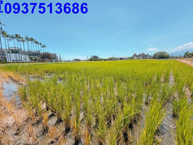 宜蘭五結農地-2