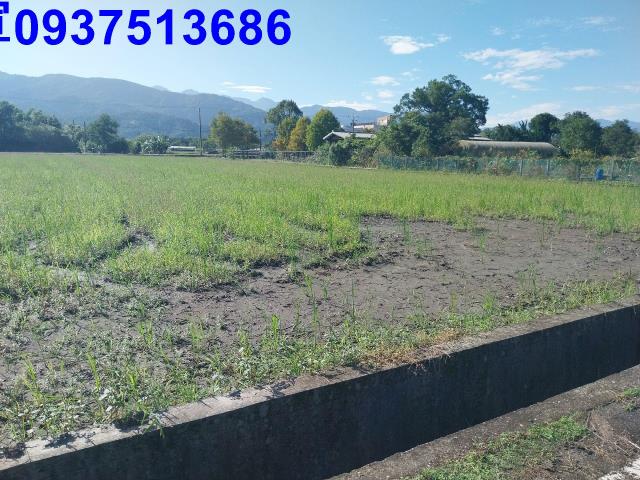 宜蘭三星農地-10