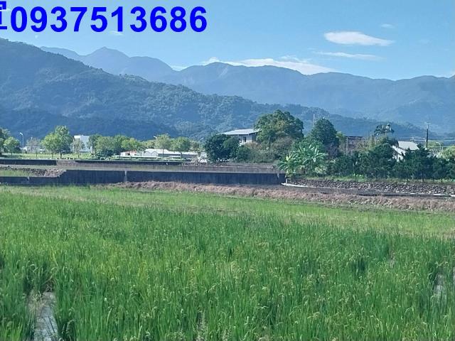 宜蘭三星農地-7