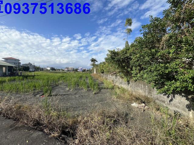 宜蘭羅東農地-11