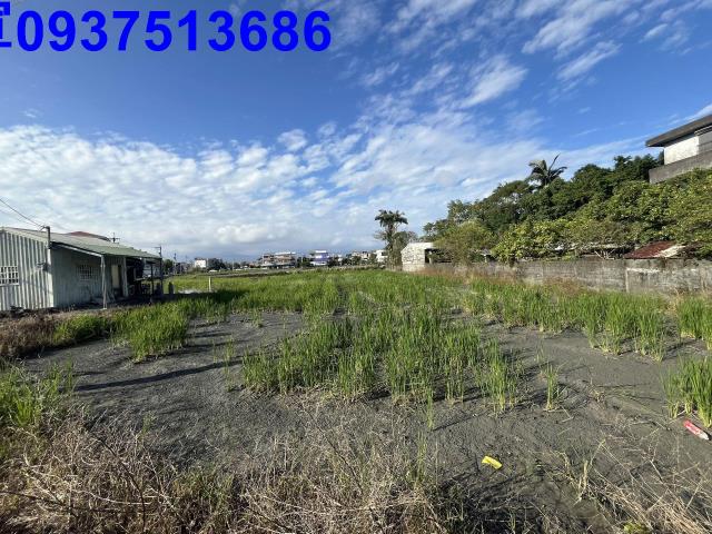 宜蘭羅東農地-2