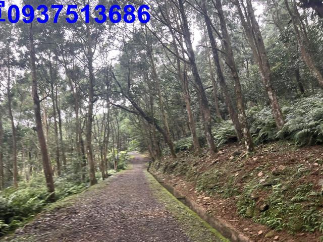 宜蘭礁溪農地-12