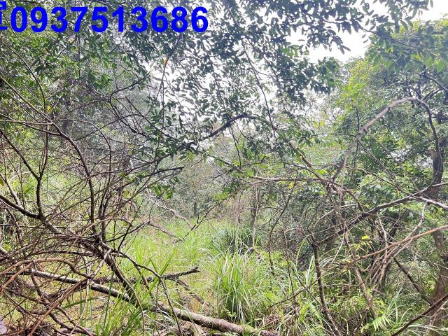 宜蘭縣礁溪鄉二結新段山坡地農地出售