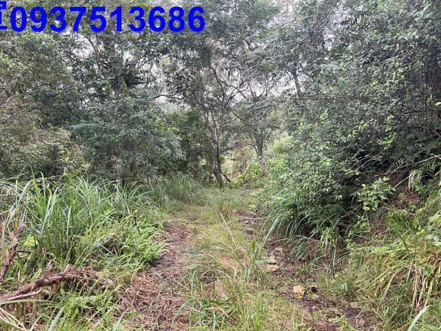 宜蘭礁溪農地-3