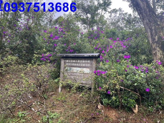 宜蘭礁溪農地-8