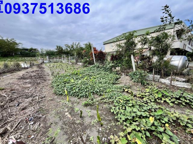 宜蘭縣壯圍鄉壯濱一段農地出售