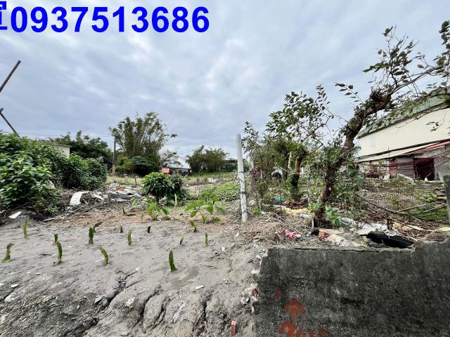 宜蘭壯圍農地-7