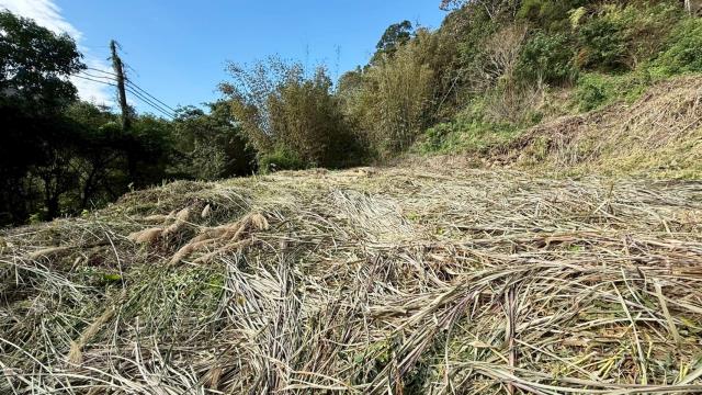 關西水坑臨路丙建
