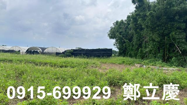 蘆竹交通用地-4