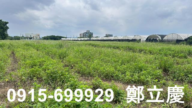 蘆竹交通用地-5