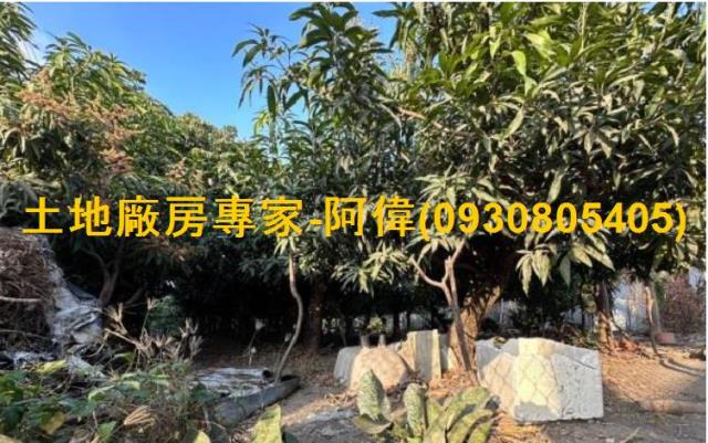 林園區超便宜漂亮都內農地495坪出售