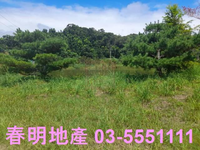 苗栗縣頭份市流東路邊農地春明地產