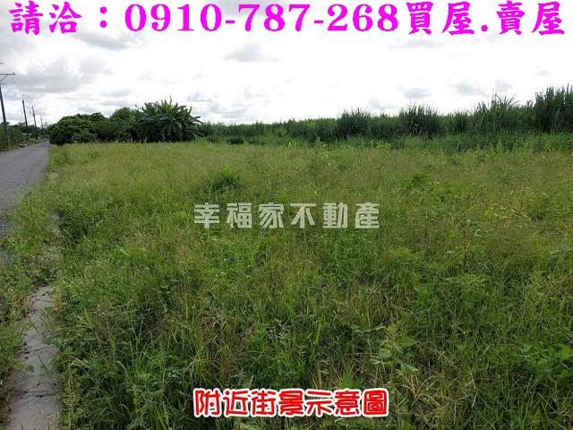 台南農地-6