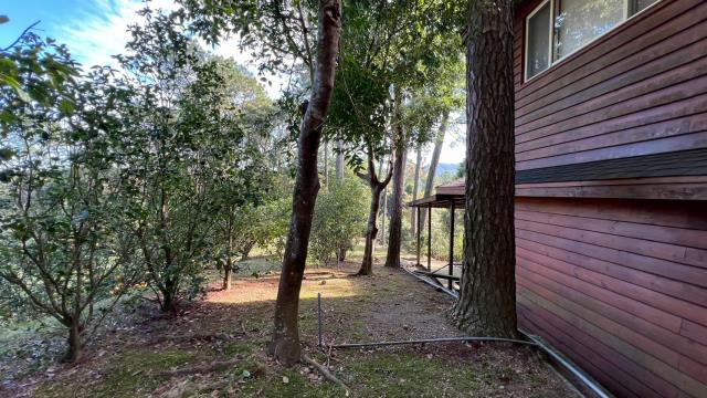 新竹峨眉山坡地-10