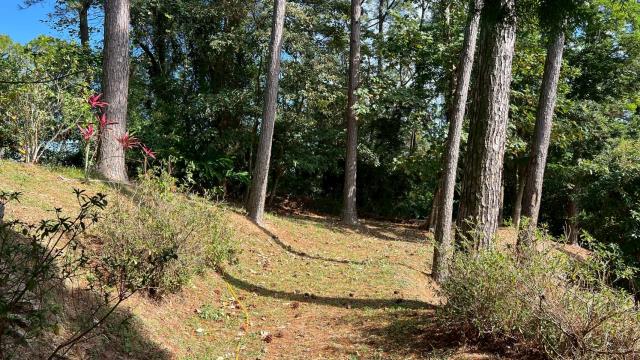 新竹峨眉山坡地-11