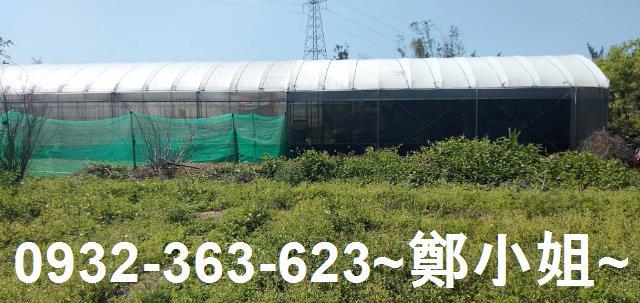 苗栗通霄農地-11