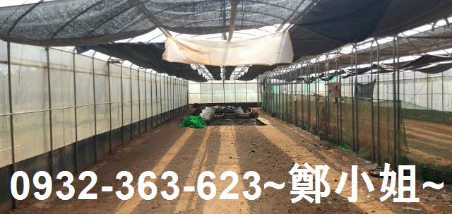 苗栗通霄農地-3