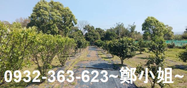 苗栗通霄農地-6