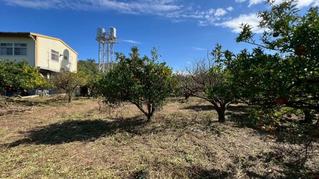 苗栗頭份農地-3