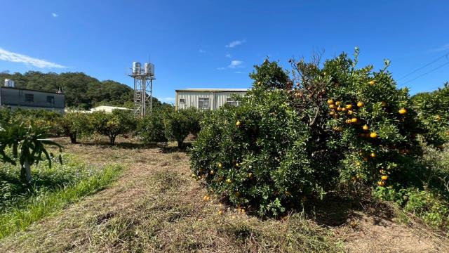 苗栗頭份農地-7