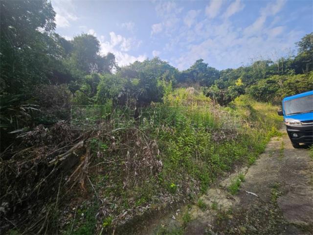 高雄大樹農地-1