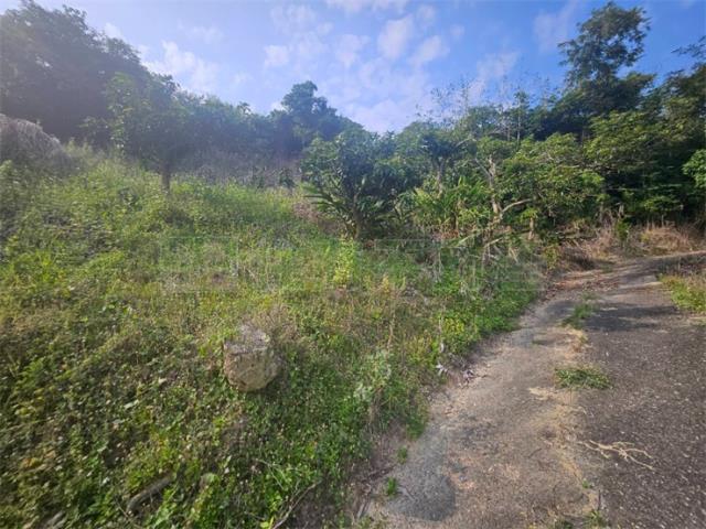 高雄大樹農地-2