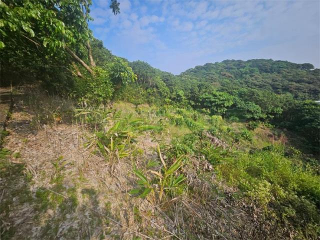 高雄大樹農地-4