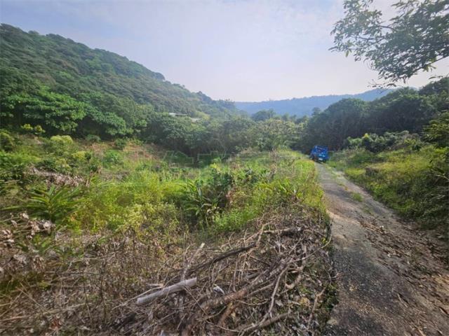 高雄大樹農地-5