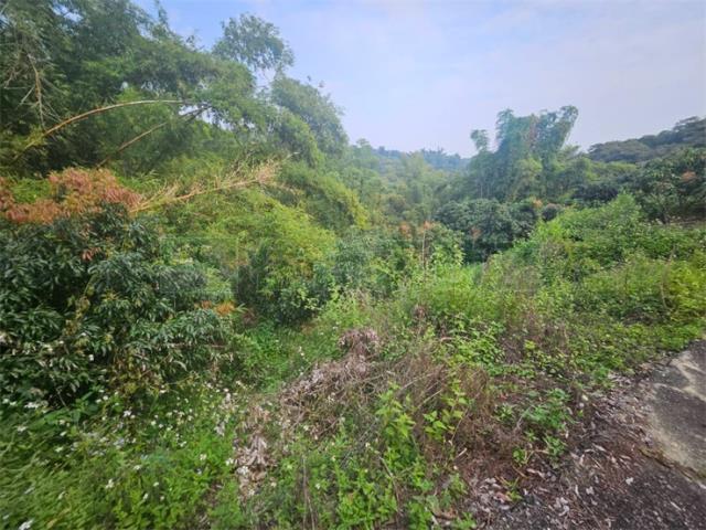 高雄大樹農地-4